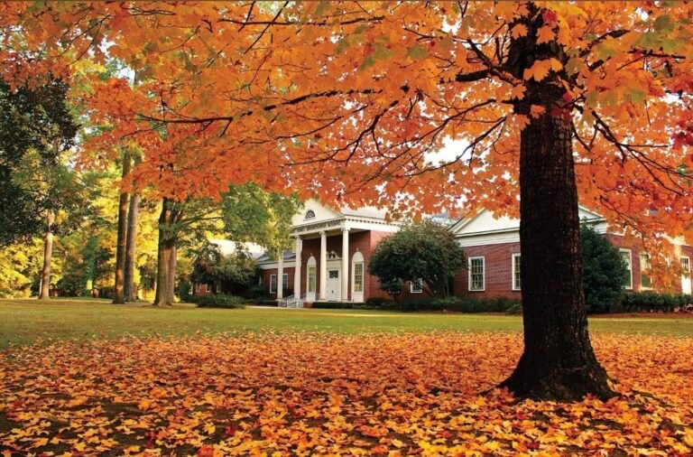 WhatsApp Image 2025 08 20 at 9.13.28 PM 768x506